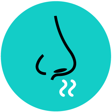 Rhinite